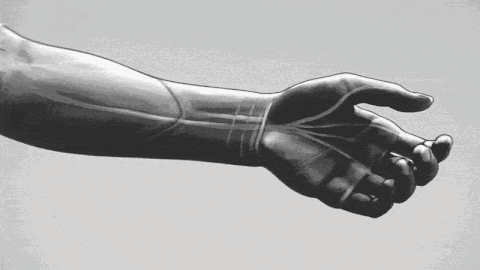 Peripheral nerve regeneration animation